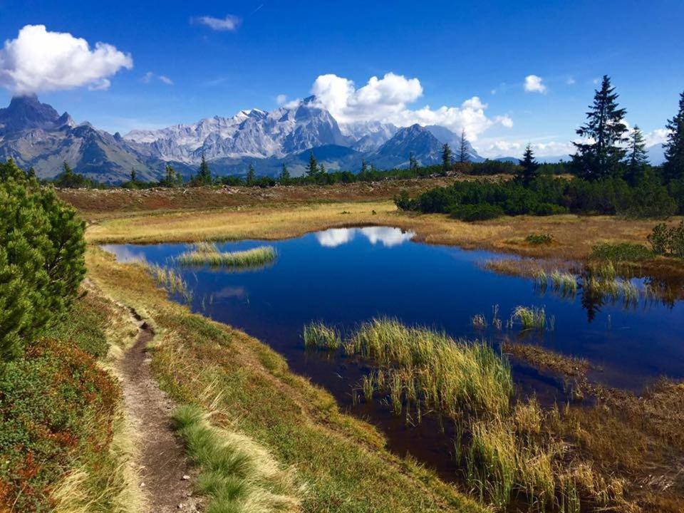 Ferienwohnung Elisabeth Eben Im Pongau Buitenkant foto